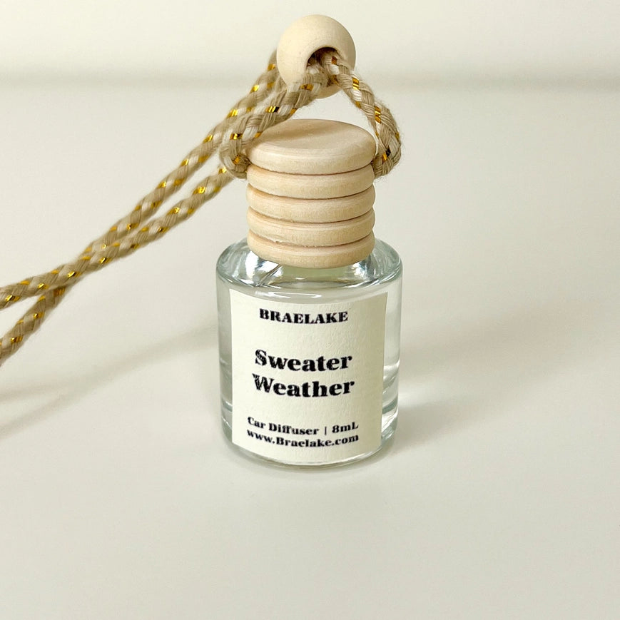 Car Freshener Hanging Diffuser