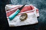 Toad Fish Outfitter PUT 'EM BACK Oyster Knife